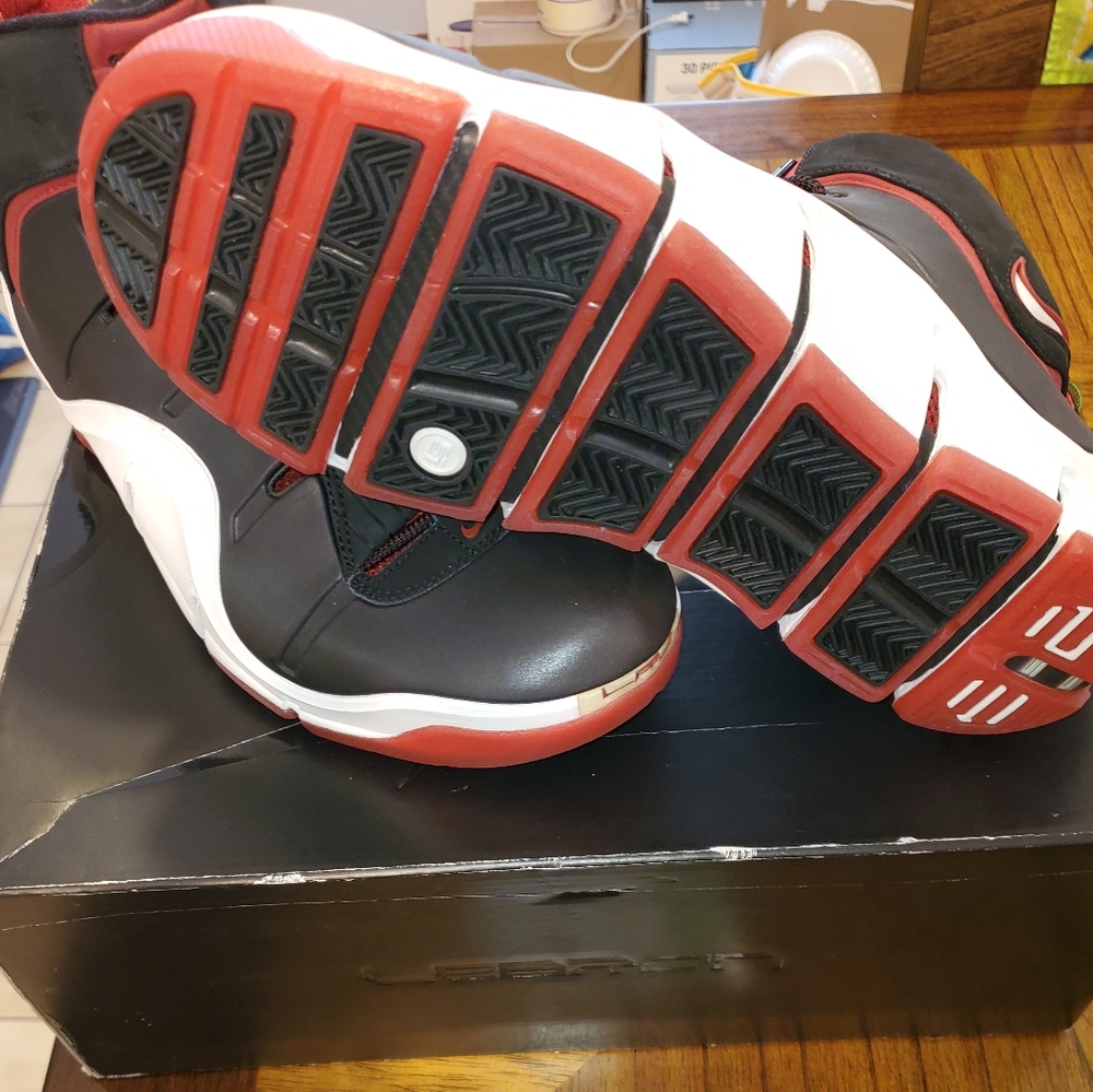 Lebron 4s
